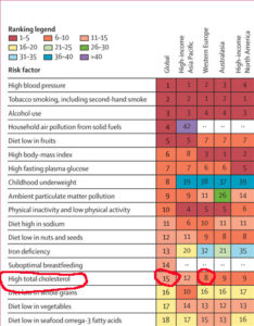 Le cholestérol - Maladies cardiovasculaires, cholestérol et ...